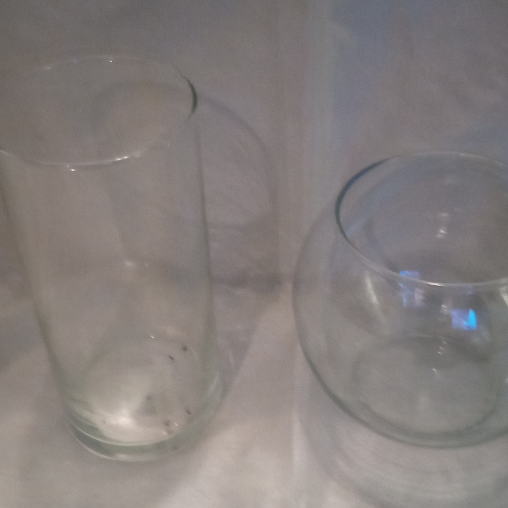 Set of Two Clear Glass Vases